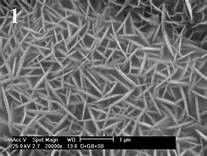 Pseudoboehmite ướt Oxide bột cho Vật liệu Catalyst Hóa chất